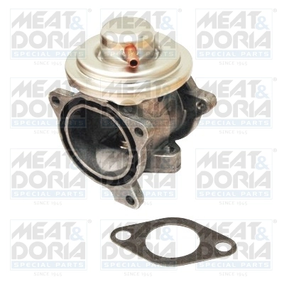 EGR Valve